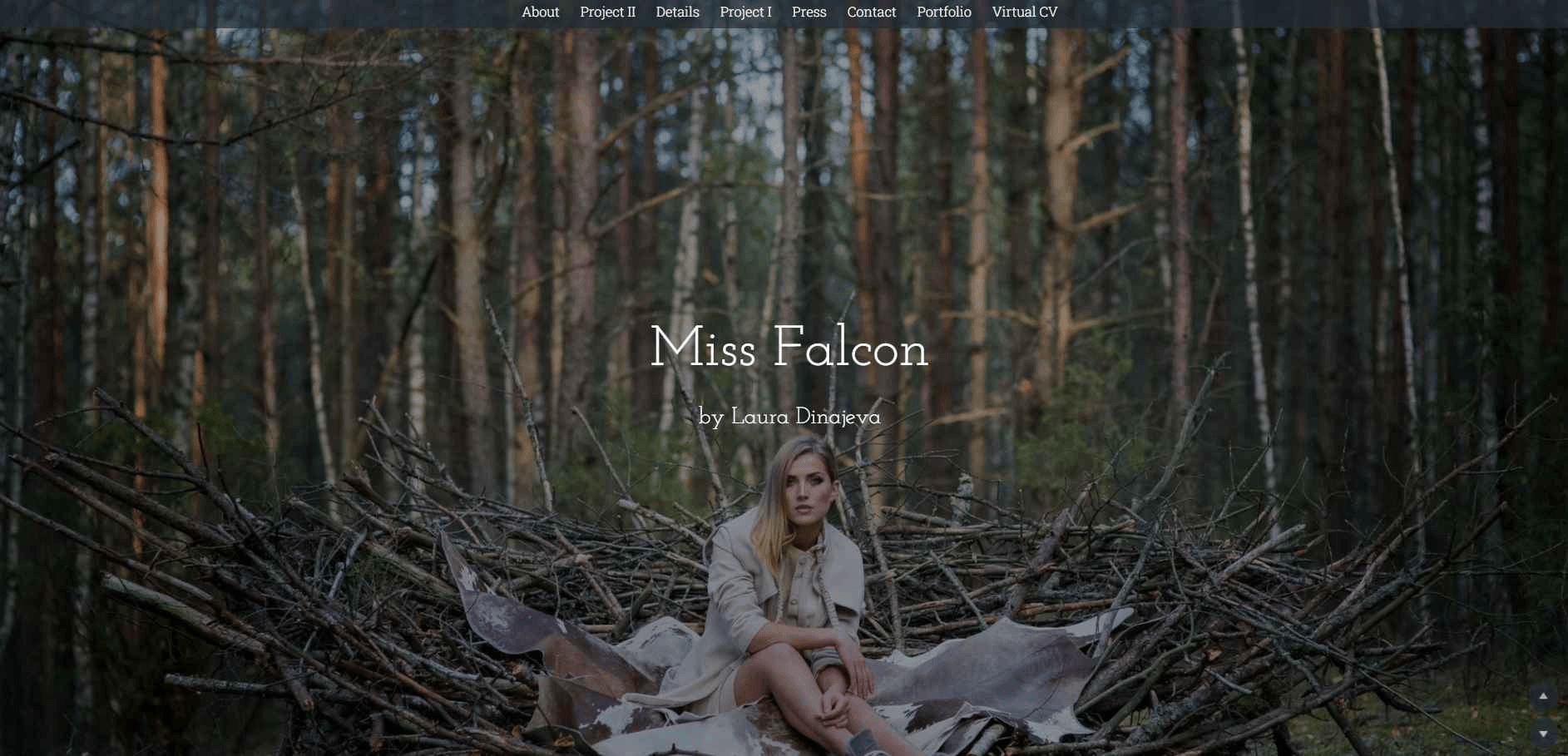 falcon-website-traffic falcon-website-traffic